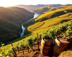 Drinkgewoontes in Portugal: proef de wijnen van de Douro-vallei