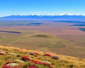 Natuur bewonderen in de uitgestrekte vlaktes van Patagonië