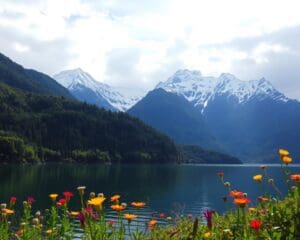 Natuurwandelingen door de fjorden van Chili