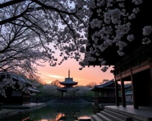 Reizen door de eeuwenoude tempels van Kyoto