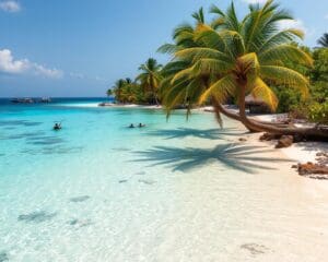 Stranden van Zanzibar: paradijs voor rustzoekers en duikers