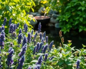 Stress verminderen met natuurlijke kruiden en remedies