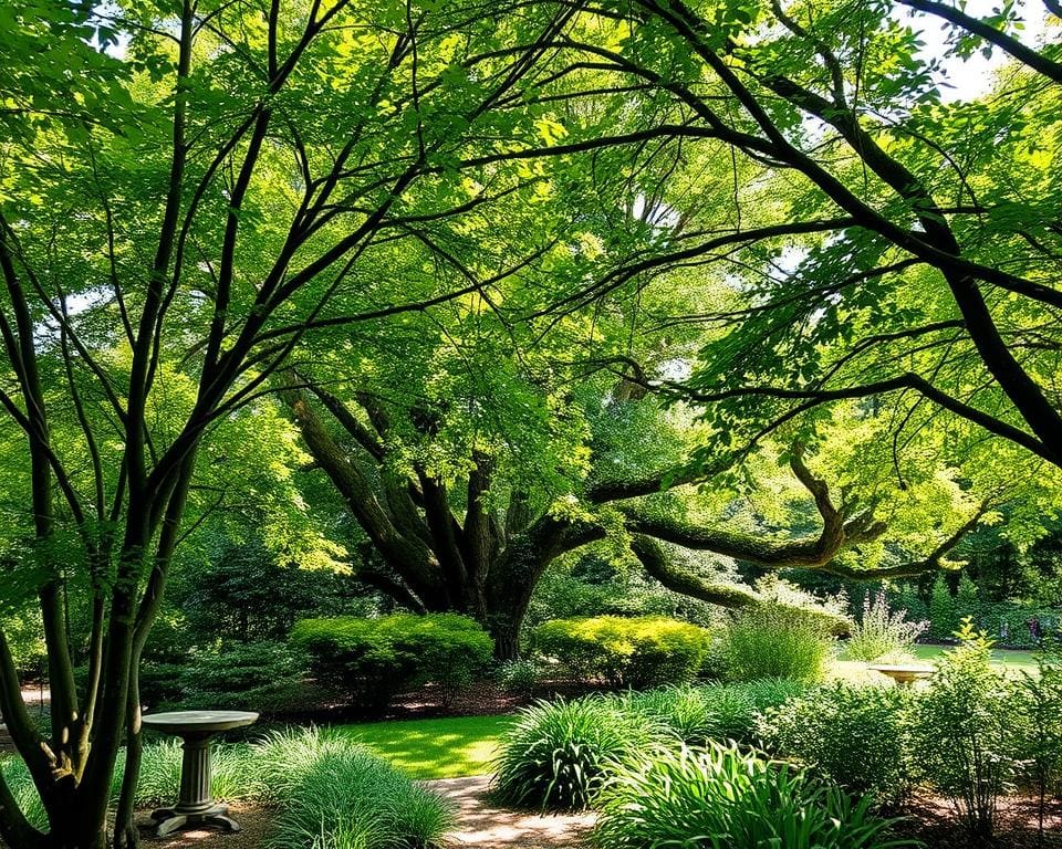 bomen voor tuin met weinig zonlicht