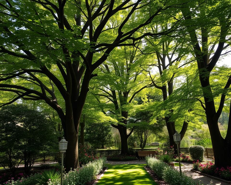 Bomen die Jouw Tuin Privacy en Sfeer Bieden