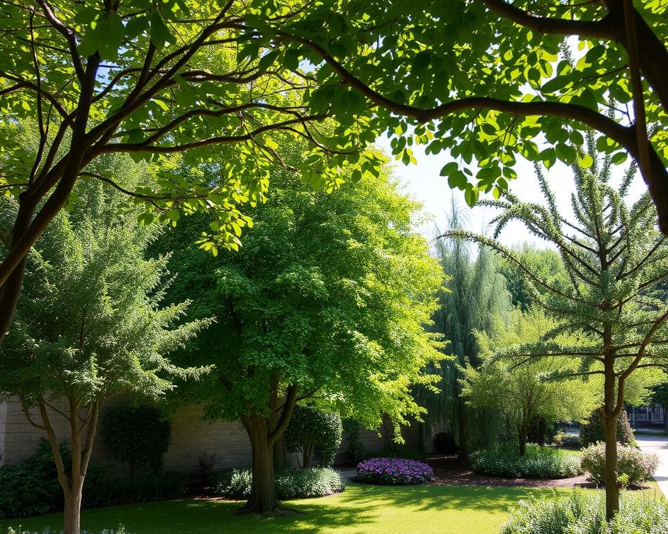 Factoren bij keuze van sierbomen