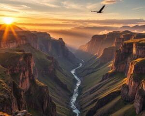 Ontdek de schoonheid van de Colca Cañon in Peru