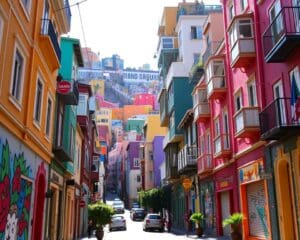Valparaíso: een stad vol kleur en creativiteit