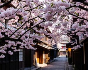 Bezienswaardigheden in de oude straten van Kyoto