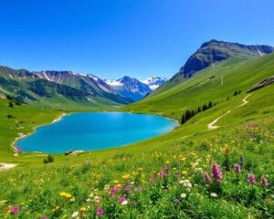 Bramberg: Voor de natuurliefhebbers