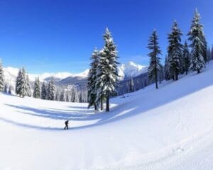 Gressoney: Rustig skiën in de Monte Rosa regio
