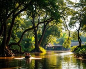 Hoe reis je veilig door het Amazonegebied in Ecuador?