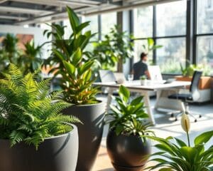 Plantenbakken voor groene kantoorinrichting