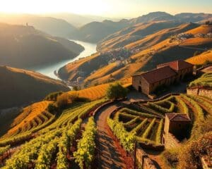 Douro Valley