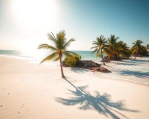 Mozambique stranden